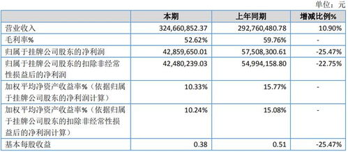 圣博潤(rùn)披露2020年報(bào) 盈利下滑超25%，信息技術(shù)咨詢服務(wù)或重啟精選層小IPO審查